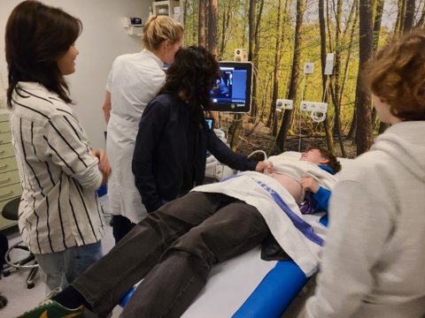 Met een echoscan meten en kijken