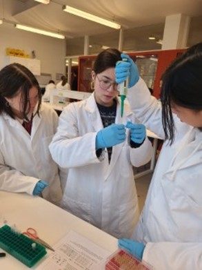 Met een micropipet aan de slag om minuscule hoeveelheden DNA te bewerken