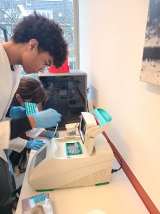 DNA vermenigvuldigen met een PCR-apparaat